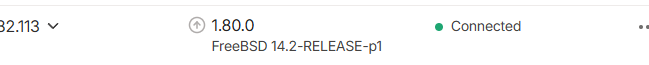 tailscale-freebsd.png